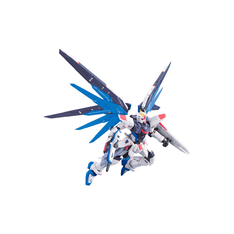 BANDAI Mobile Suit Gundam SEED - огляд і ціна Bandai Model Gundam Rg