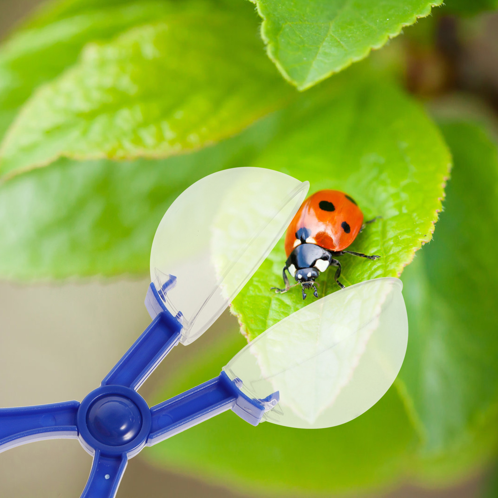 8Pcs Insect Catcher Scissors K - огляд і ціна Kids Outdoor Education